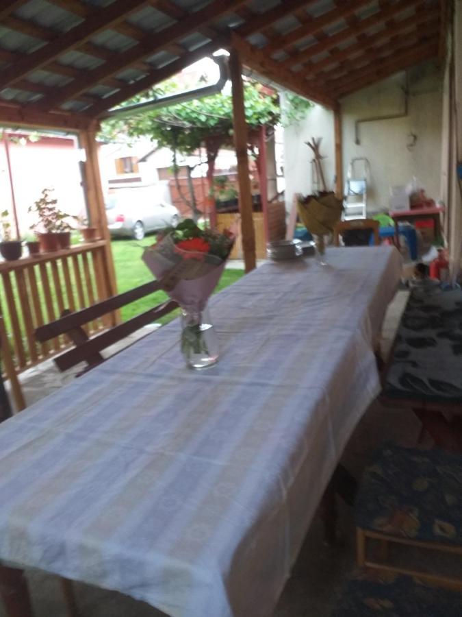 Casa Argentina Villa Cartisoara Luaran gambar