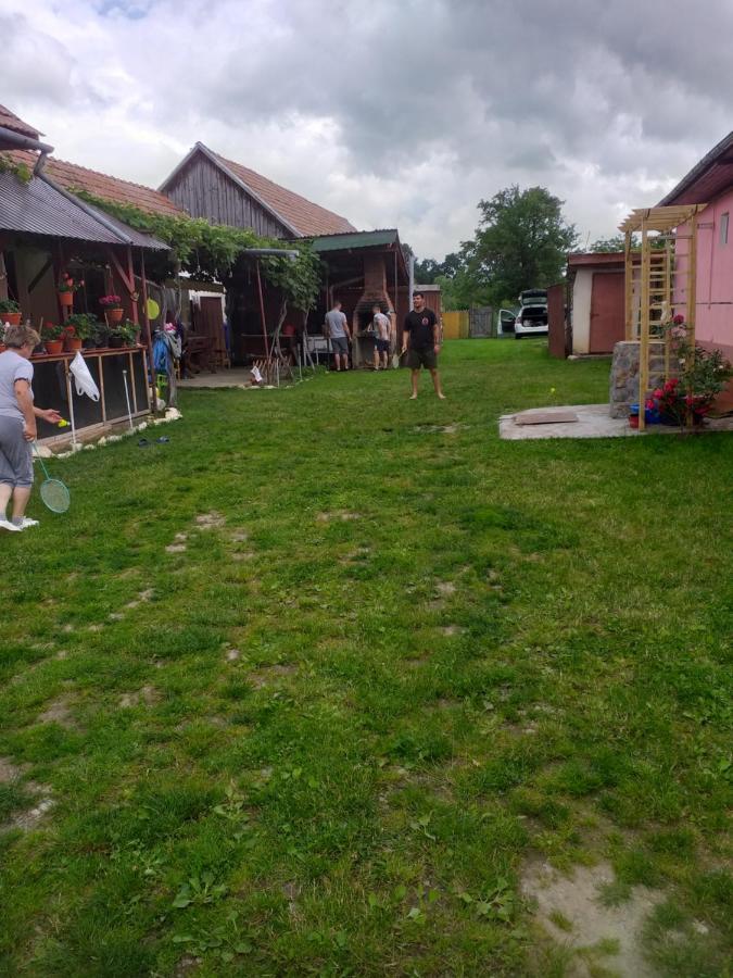 Casa Argentina Villa Cartisoara Luaran gambar