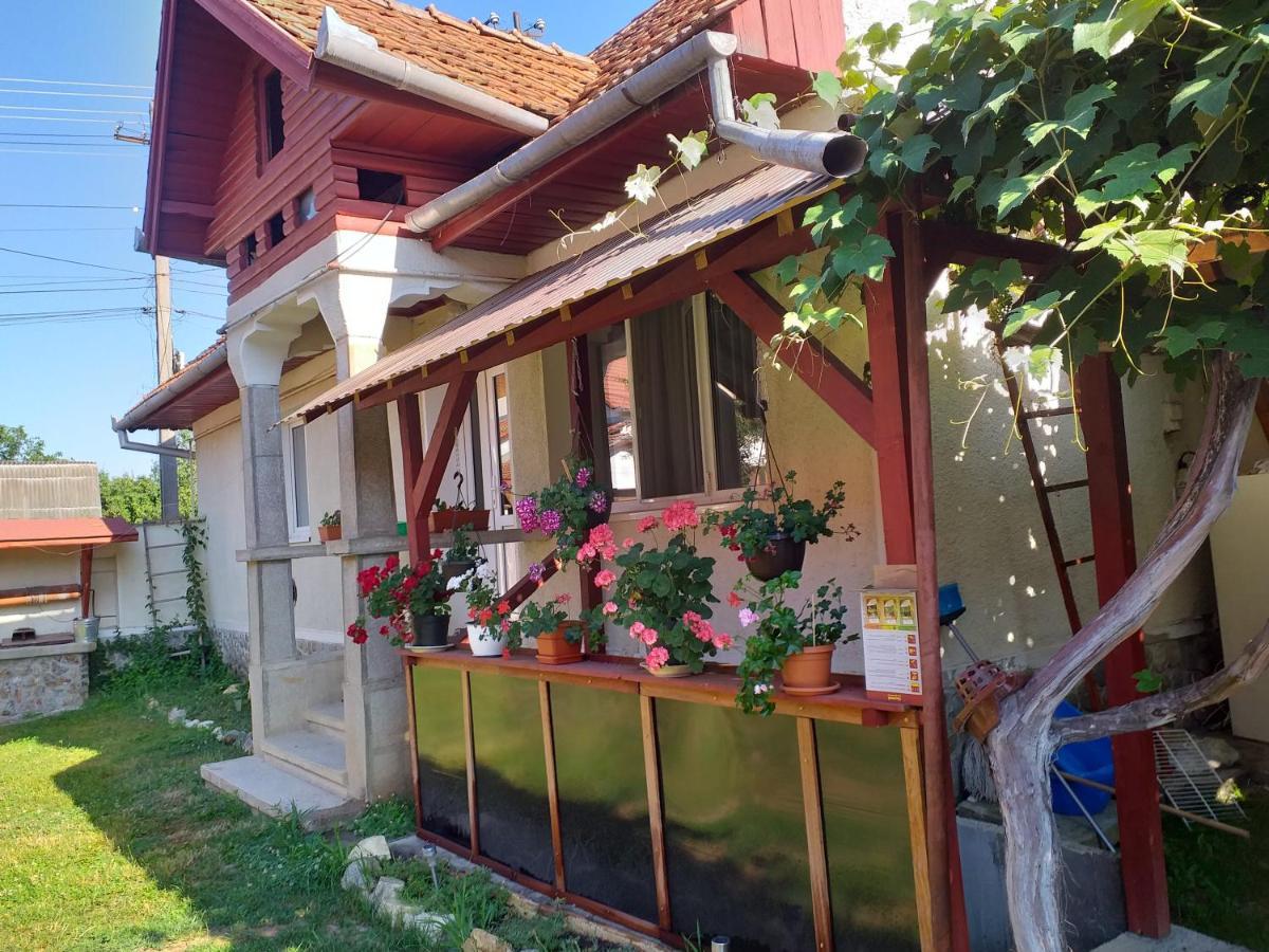 Casa Argentina Villa Cartisoara Luaran gambar