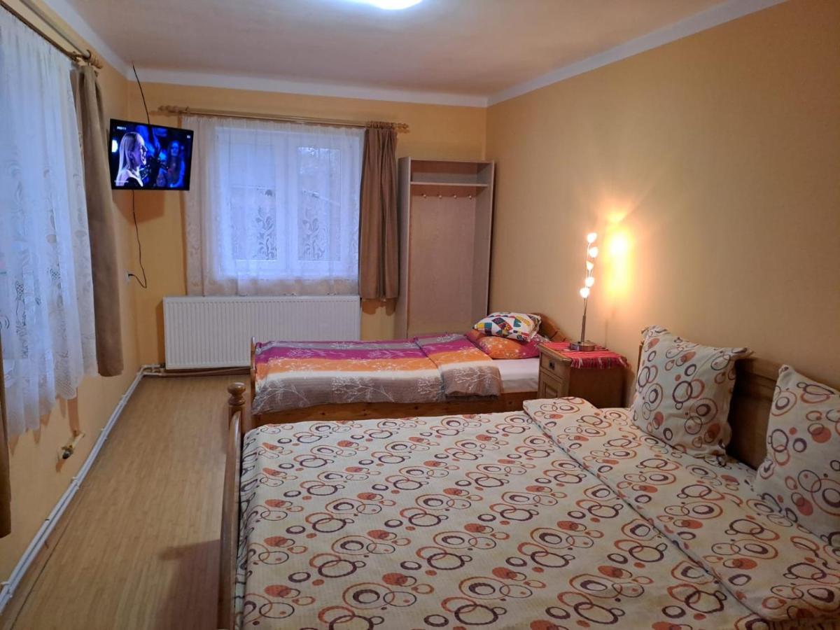 Casa Argentina Villa Cartisoara Luaran gambar