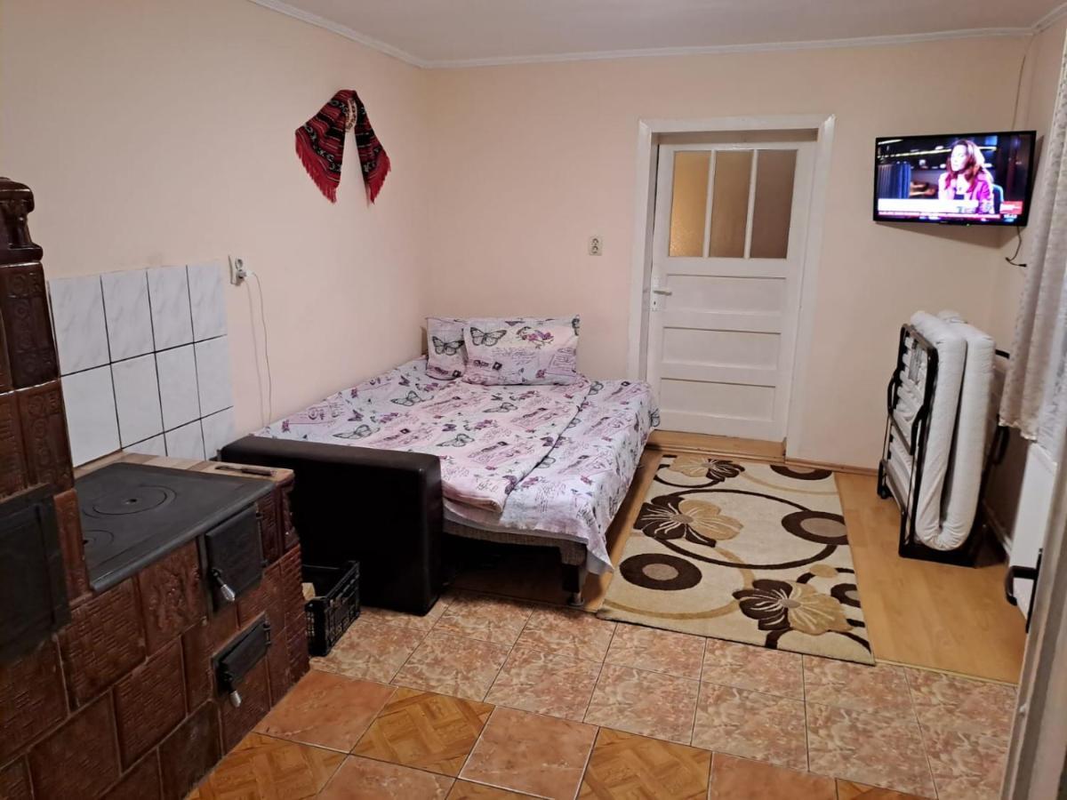 Casa Argentina Villa Cartisoara Luaran gambar