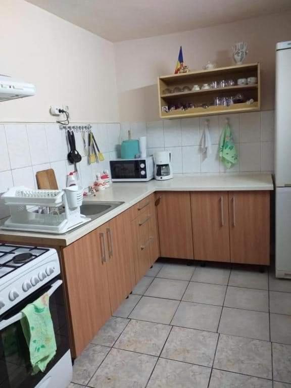 Casa Argentina Villa Cartisoara Luaran gambar