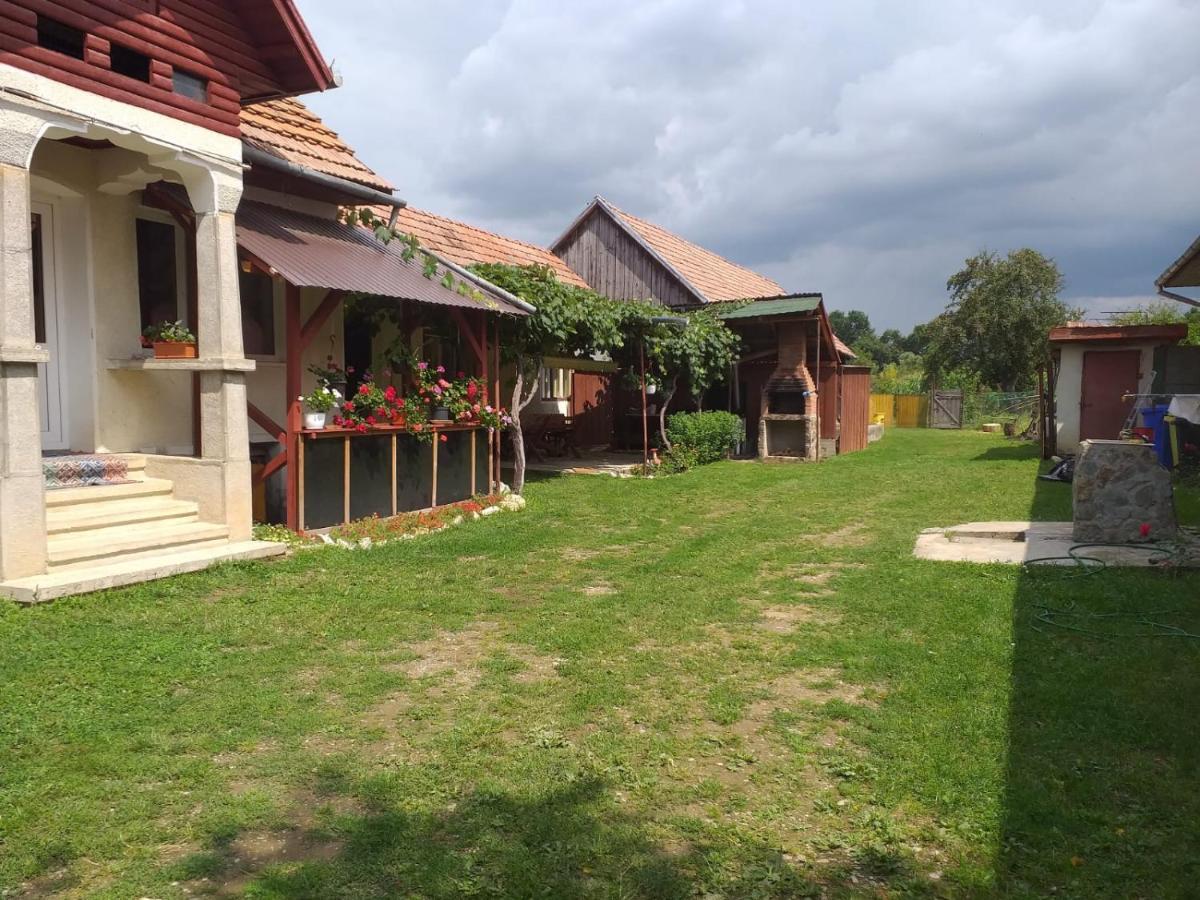 Casa Argentina Villa Cartisoara Luaran gambar
